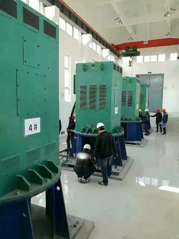 YRKK4002-6/200KW某污水处理厂使用我厂的立式高压电机安装现场